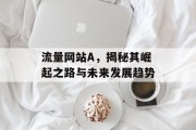 流量网站A，揭秘其崛起之路与未来发展趋势