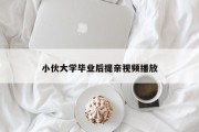 小伙大学毕业后提亲视频播放