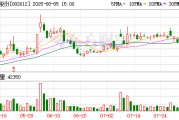 朗姿股份：公司及控股子公司的担保额度总金额为18.28亿元