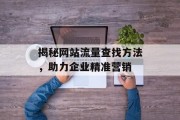 揭秘网站流量查找方法，助力企业精准营销
