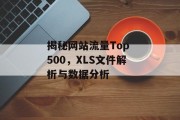 揭秘网站流量Top 500，XLS文件解析与数据分析