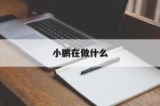 小鹏在做什么