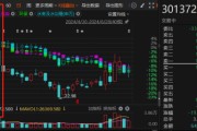 科净源违规担保及计提减值准备有误被监管！