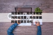 深度解析，如何准确查询网站流量，助你掌握网络营销主动权