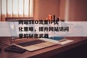网站SEO流量IP优化策略，提升网站访问量的秘密武器