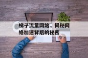 梯子流量网站，揭秘网络加速背后的秘密