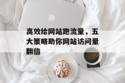 高效给网站跑流量，五大策略助你网站访问量翻倍