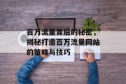 百万流量背后的秘密，揭秘打造百万流量网站的策略与技巧