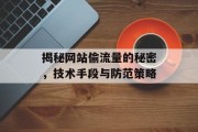 揭秘网站偷流量的秘密，技术手段与防范策略