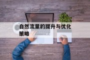 自然流量的提升与优化策略