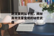 跑流量网站手机，揭秘高效流量变现的秘密武器