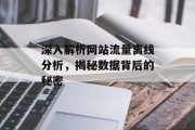 深入解析网站流量离线分析，揭秘数据背后的秘密