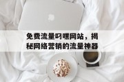 免费流量叼嘿网站，揭秘网络营销的流量神器