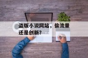 盗版小说网站，偷流量还是创新？