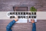 如何高效采集网站流量资料，技巧与工具详解