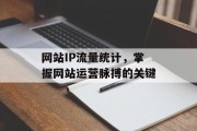 网站IP流量统计，掌握网站运营脉搏的关键