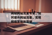揭秘网站流量专家，如何提升网站流量，实现网络营销新突破