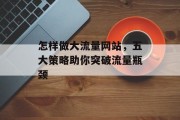 怎样做大流量网站，五大策略助你突破流量瓶颈