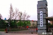 政法院校有没有985(政法院校有没有985的)