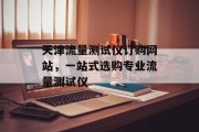 天津流量测试仪订购网站，一站式选购专业流量测试仪