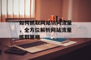 如何抓取网站访问流量，全方位解析网站流量抓取策略