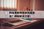网站更新频繁却流量低迷？揭秘解决之道！