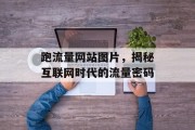 跑流量网站图片，揭秘互联网时代的流量密码