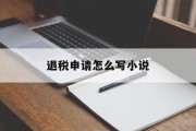 退税申请怎么写小说