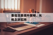 番茄流量提升策略，从概念到实践