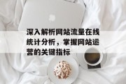 深入解析网站流量在线统计分析，掌握网站运营的关键指标