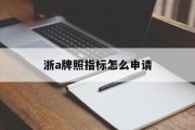 浙a牌照指标怎么申请