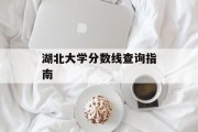 湖北大学分数线查询指南