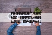 揭秘网站看用户流量的秘密，如何有效分析网站流量，提升用户体验
