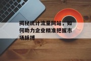 揭秘统计流量网站，如何助力企业精准把握市场脉搏