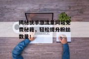 揭秘快手涨流量网站免费秘籍，轻松提升粉丝数量！