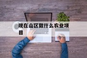 现在山区做什么农业项目