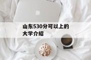 山东530分可以上的大学介绍