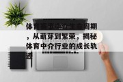 体育赛事中介生命周期，从萌芽到繁荣，揭秘体育中介行业的成长轨迹
