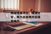 网站流量评估，精准分析，助力企业提升在线影响力