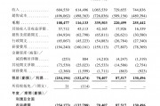 年入10亿、无人机独角兽冲刺港股，能否跨过两座大山？