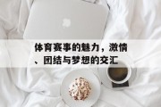 体育赛事的魅力，激情、团结与梦想的交汇