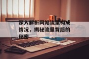 深入解析网站流量构成情况，揭秘流量背后的秘密