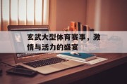 玄武大型体育赛事，激情与活力的盛宴