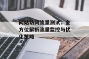 网站访问流量测试，全方位解析流量监控与优化策略