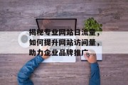 揭秘专业网站日流量，如何提升网站访问量，助力企业品牌推广