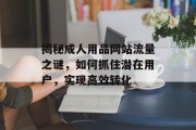 揭秘成人用品网站流量之谜，如何抓住潜在用户，实现高效转化