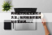 揭秘国外网站流量统计方法，如何精准把握网站运营脉搏