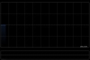 中华银科技完成发行1606.6万港元的可换股债券