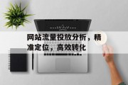 网站流量投放分析，精准定位，高效转化