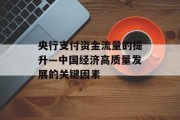 央行支付资金流量的提升—中国经济高质量发展的关键因素